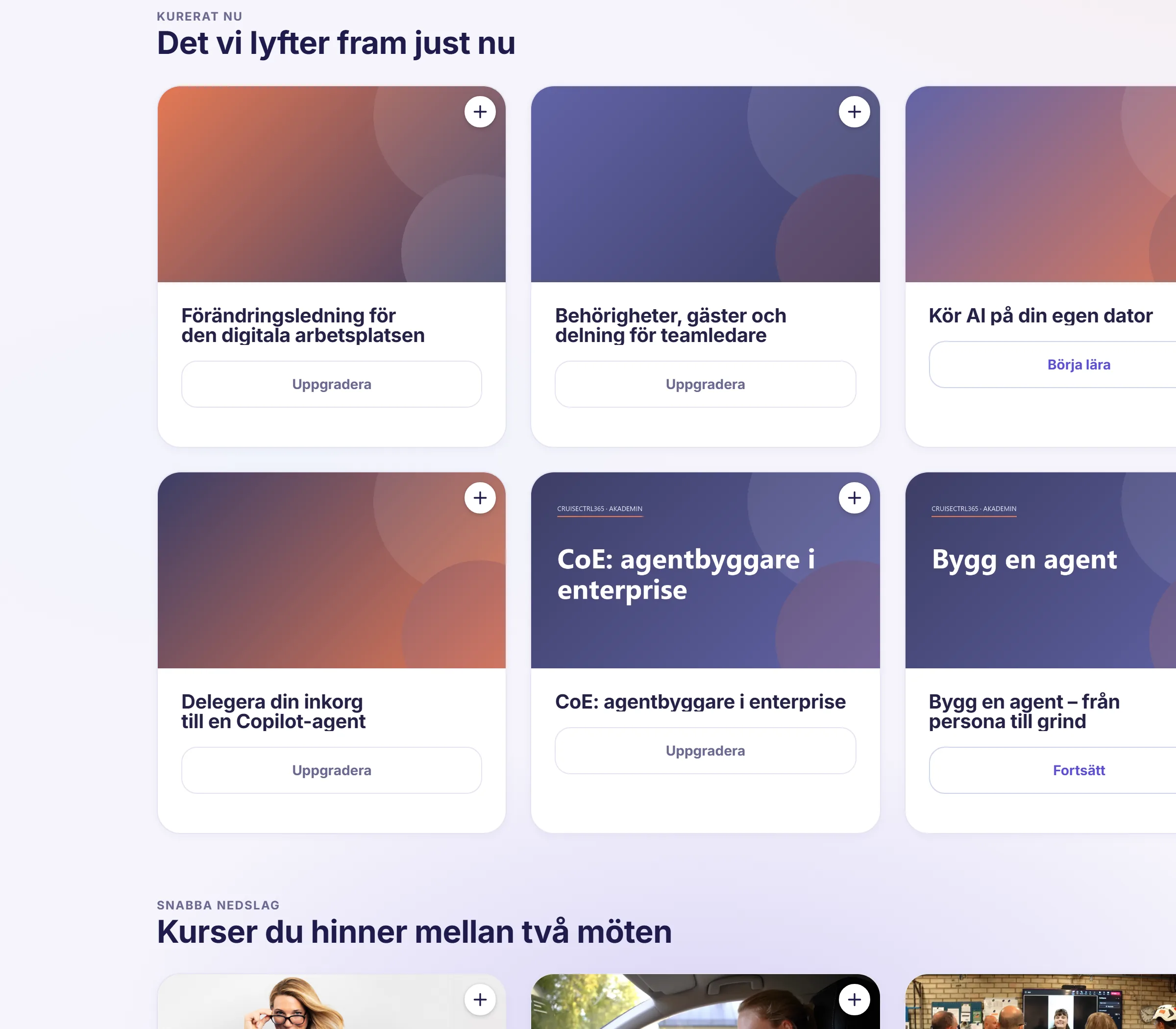 Kurskatalogen i Akademin: kurserna vi lyfter fram just nu, med omslag per målgrupp.
